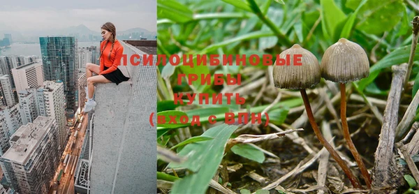 дмт Медногорск