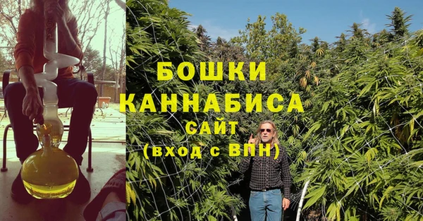 дурь Мегион