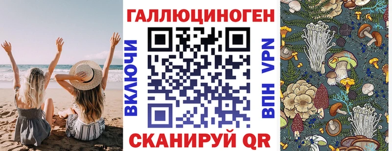 Галлюциногенные грибы Cubensis  Артём 